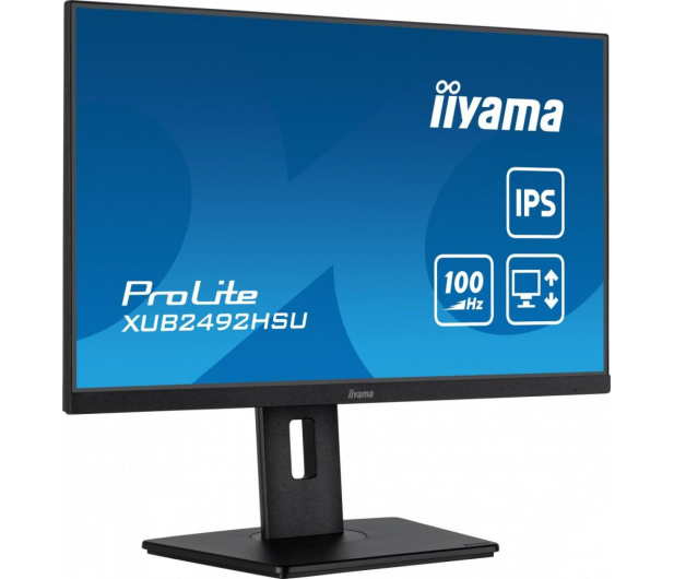 iiyama ProLite XUB2492HSU-B6 - 1193573 - zdjęcie 11